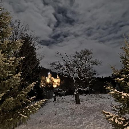 Bran 99 Villa Dış mekan fotoğraf