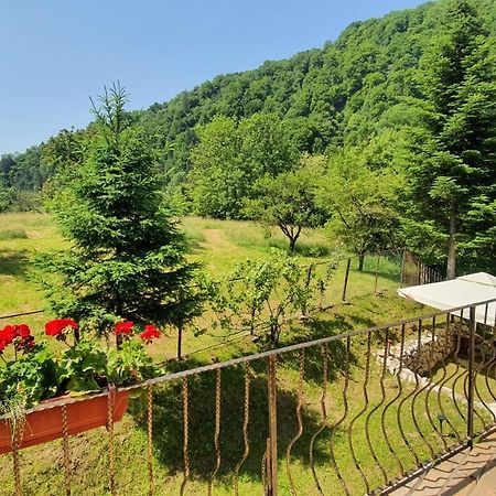 Bran 99 Villa Dış mekan fotoğraf