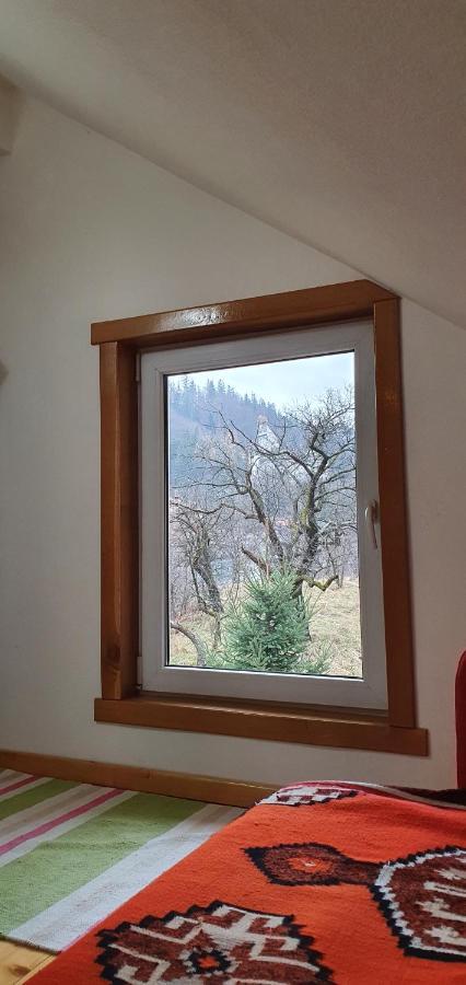Bran 99 Villa Dış mekan fotoğraf