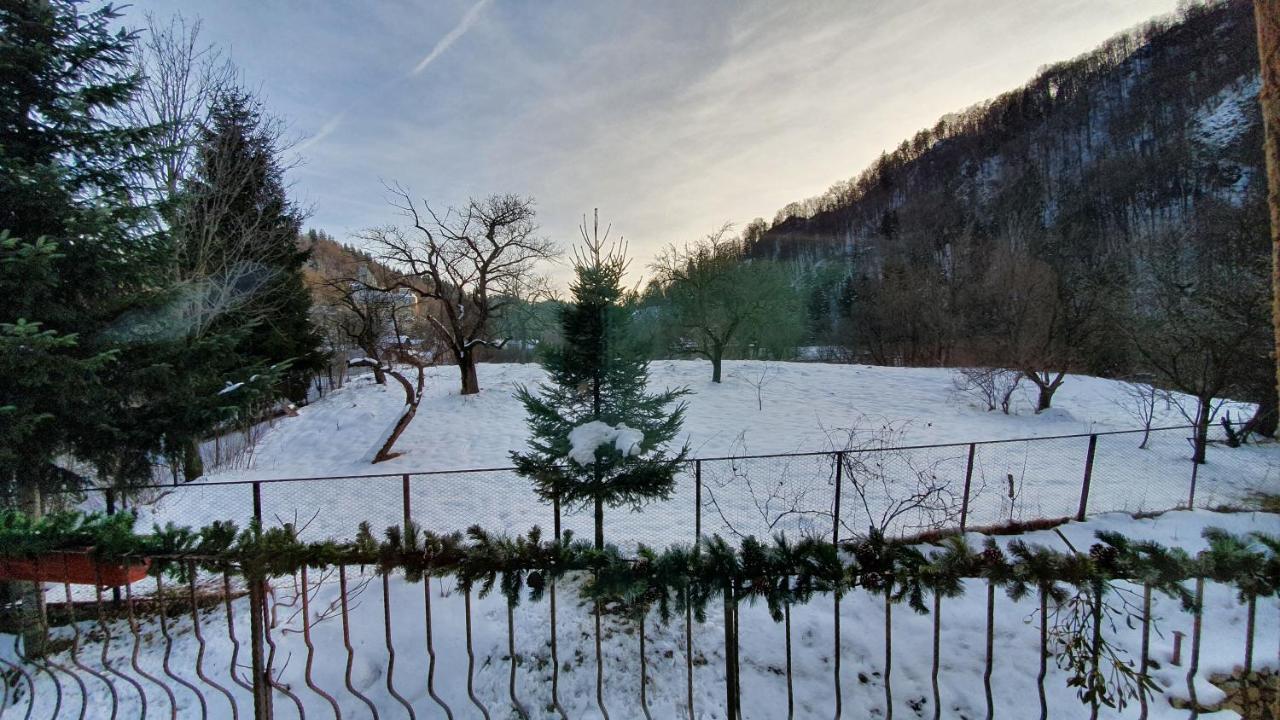 Bran 99 Villa Dış mekan fotoğraf