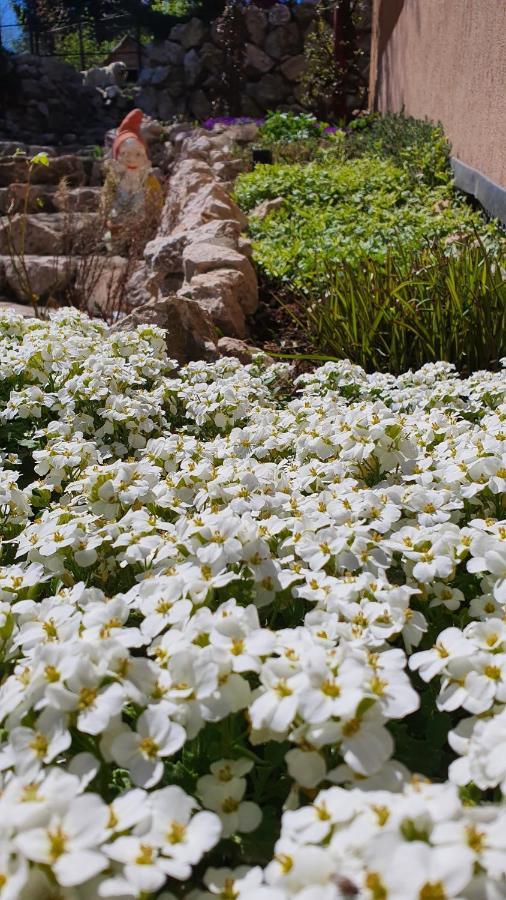Bran 99 Villa Dış mekan fotoğraf
