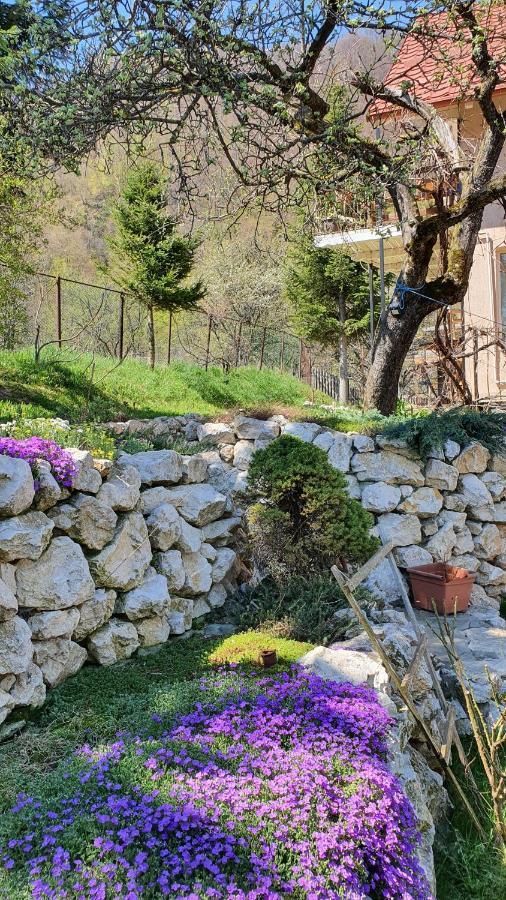 Bran 99 Villa Dış mekan fotoğraf