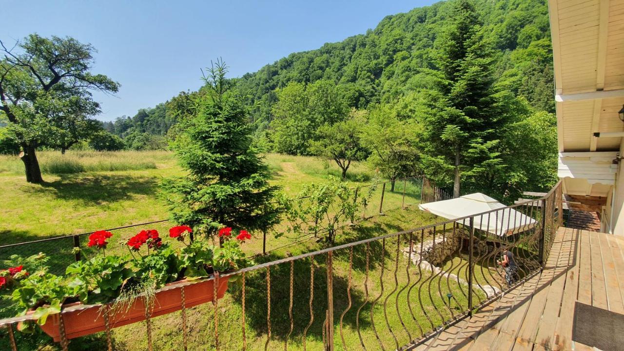 Bran 99 Villa Dış mekan fotoğraf